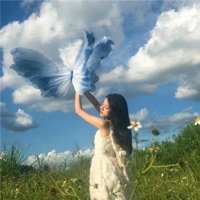 追凶直播