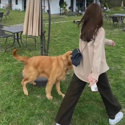 暴躁圣诞节